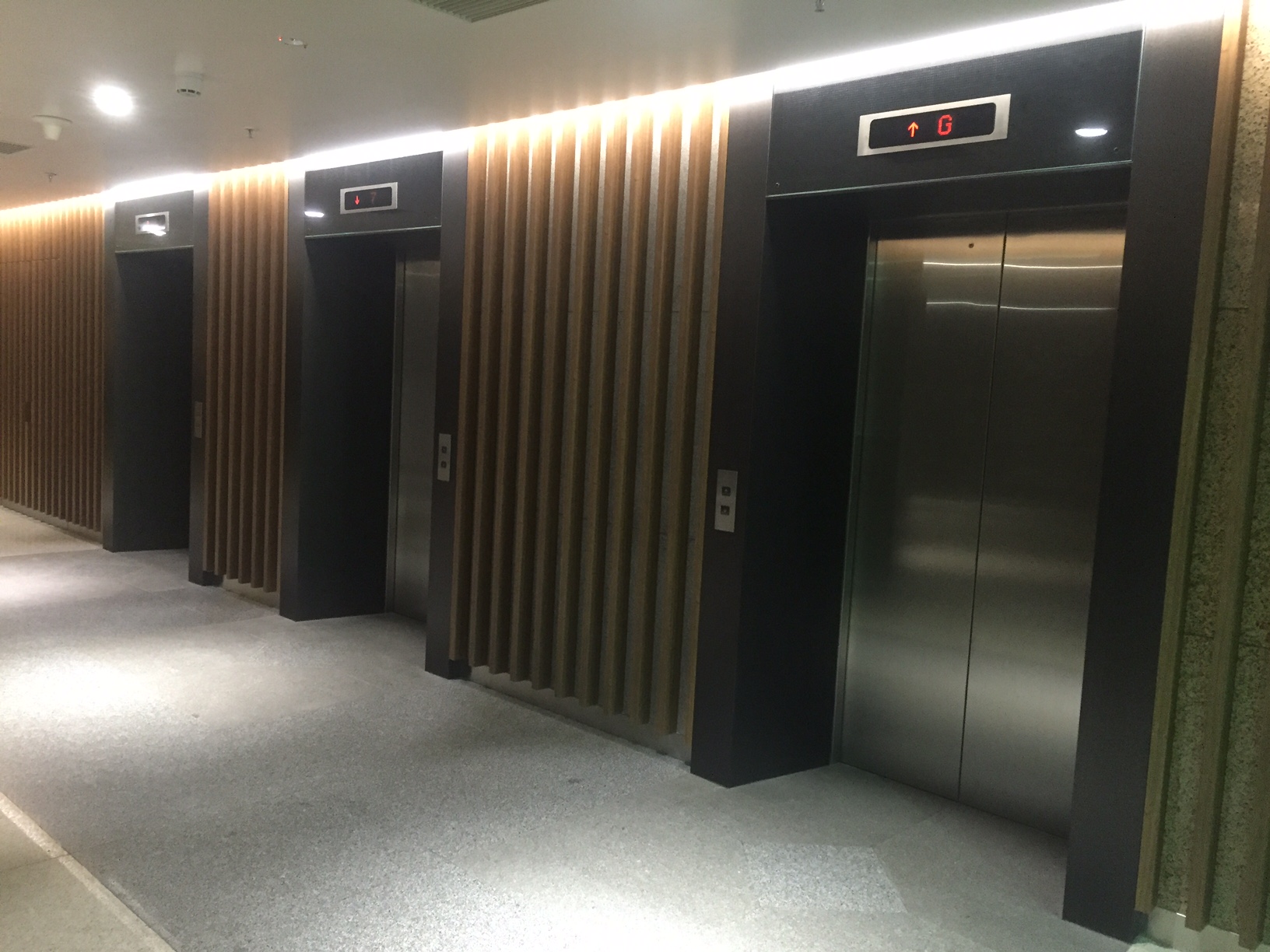 Cửa tầng thang máy inox